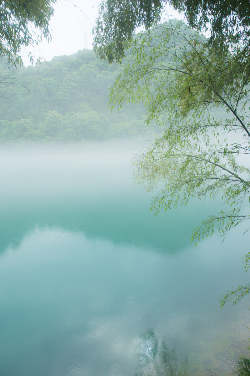 细雨中,邂逅国风仙境
