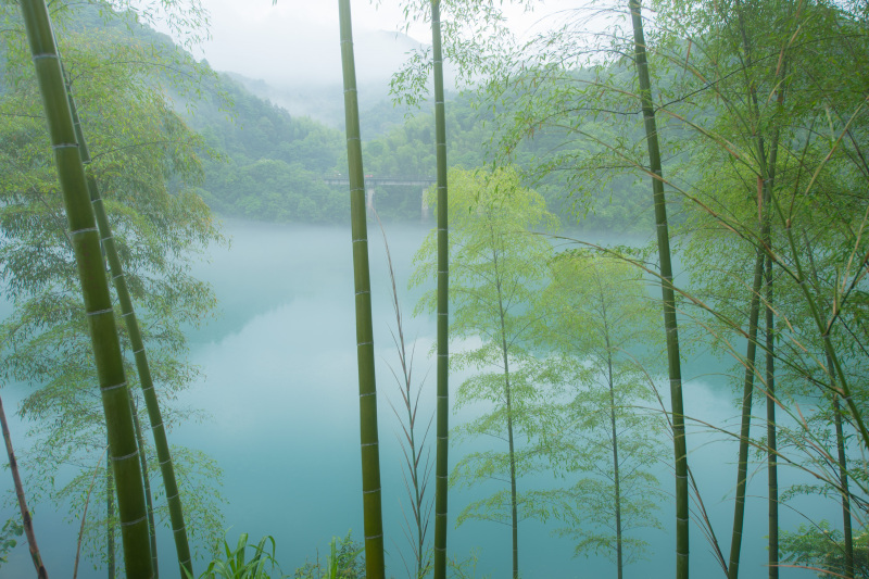 细雨中,邂逅国风仙境