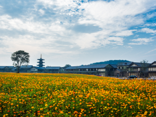 灵山小镇·拈花湾