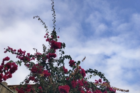 [端午]<国内测试游>有视频