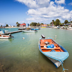 Caribbean Fishing Harbor with Boats