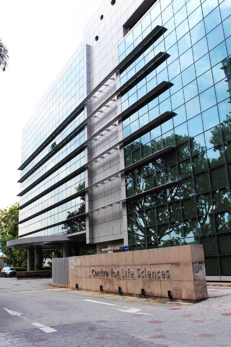      新加坡国立大学