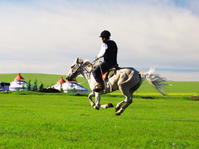 莫日格勒 根河 莫尔道嘎 室韦 黑山头 满洲里5日游>黑山头骑马 蒙古