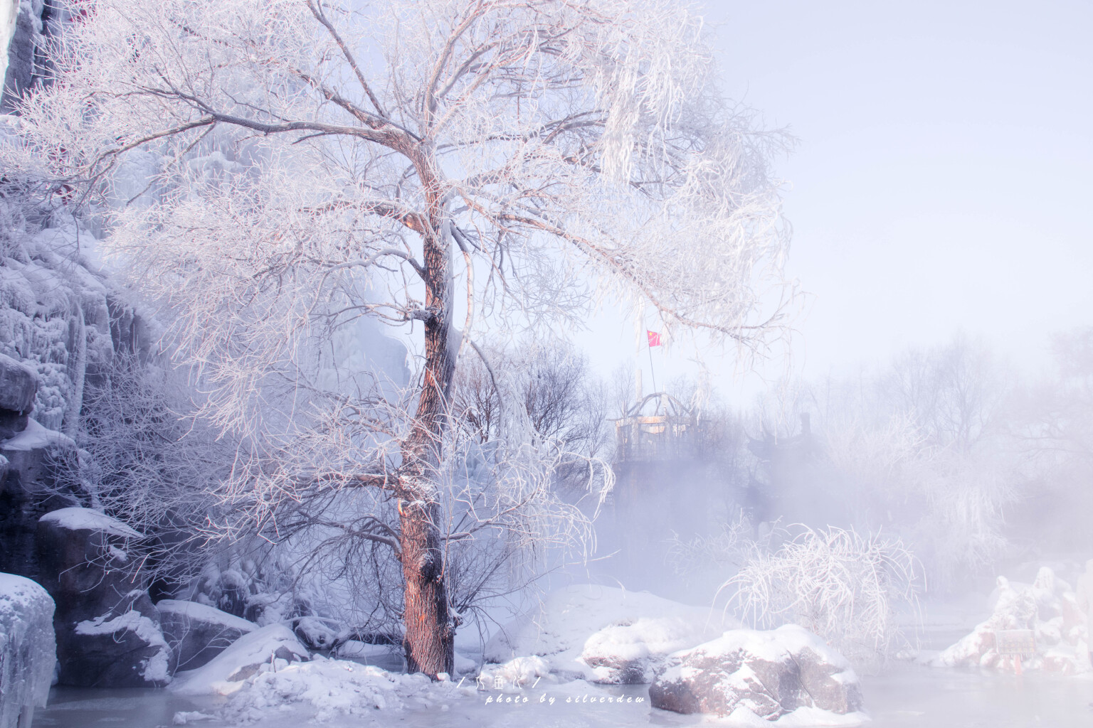 北国风光,千里冰封,万里雪飘——许你一段冰雪奇缘