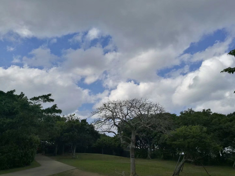 預報當天沖繩有雨結果天氣好好!陽光明媚!