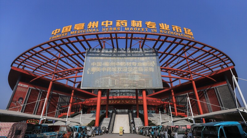 day2-1:康美中药城,全球最大的一站式药都