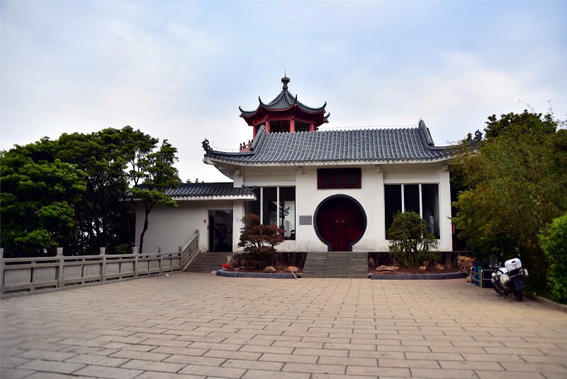 【首发】 #猎艳行动# 梧桐山,杜鹃花海