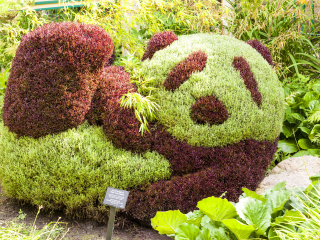 卡尔加里动物园