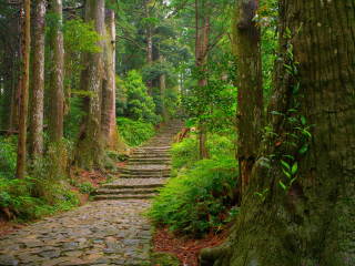 熊野古道