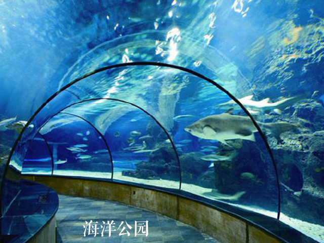 香港澳门双飞海自自自6晚7日游 超级纯玩零购