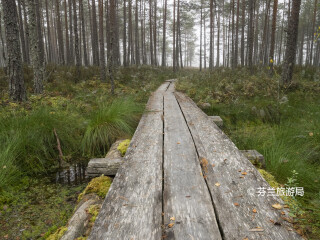 普里湖和大沼泽国家公园