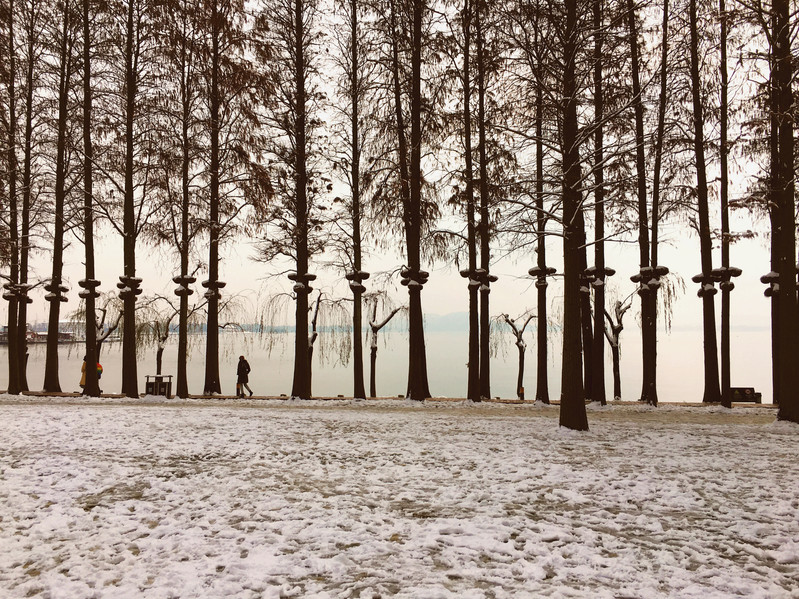 瑞雪兆豐年美景迎新年武漢東湖雪景