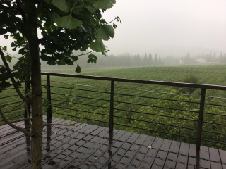 浙江义远有机农场