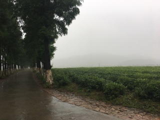 浙江义远有机农场