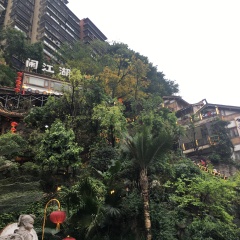 活动模块 