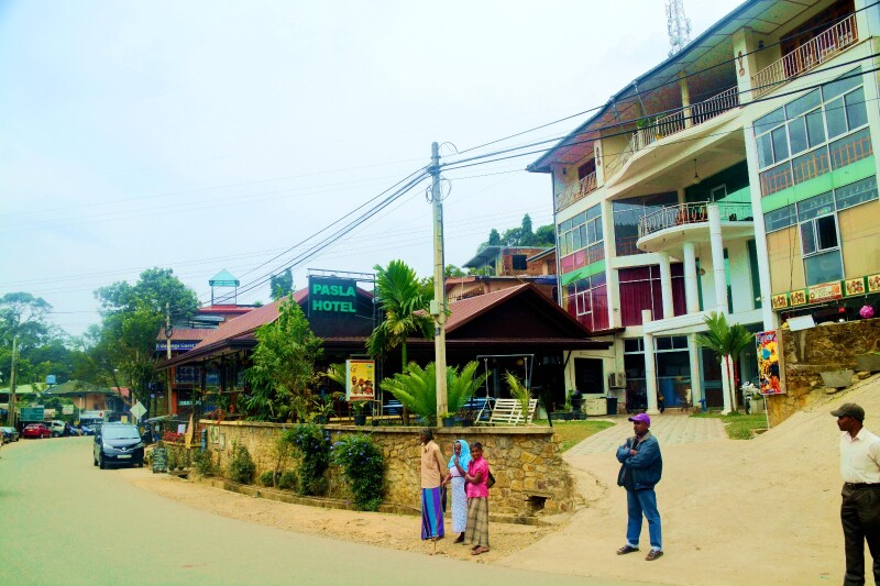 跟着夏宁葆去英伦小城埃勒自由行._斯里兰卡游记_途牛