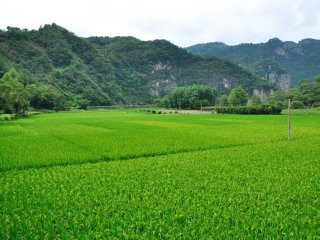 绍兴新昌穿岩十九峰