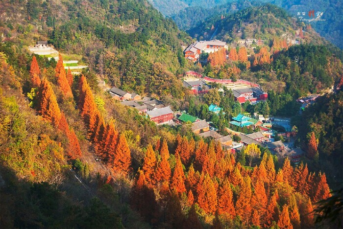 武当山紫霄宫金秋全景