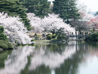 新宿御苑