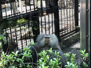 红山森林动物园