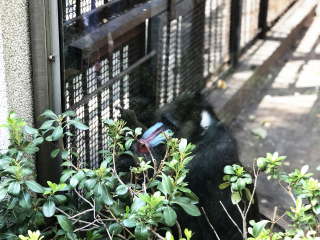 红山森林动物园