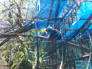 红山森林动物园