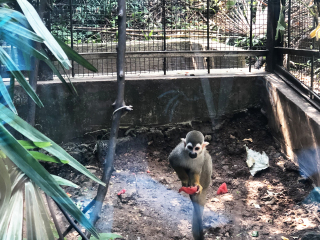 红山森林动物园