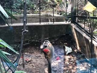 红山森林动物园