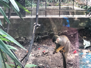 红山森林动物园