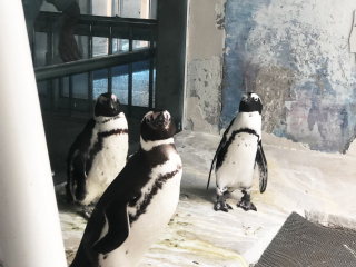 红山森林动物园