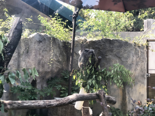 红山森林动物园