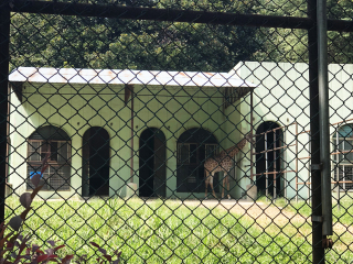 红山森林动物园