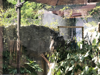 红山森林动物园