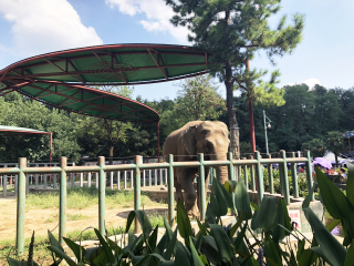 红山森林动物园