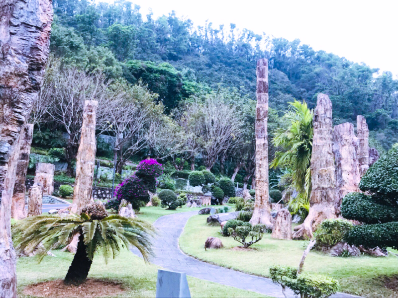 深圳仙湖植物園的東北部,有幾個非常著名的景區,最具特色的是化石樹林