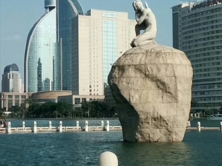 回答图片