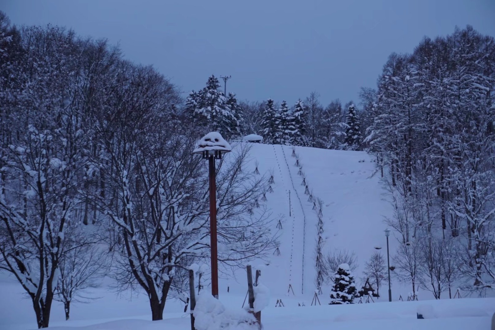 北海道雪景唯美图片图片