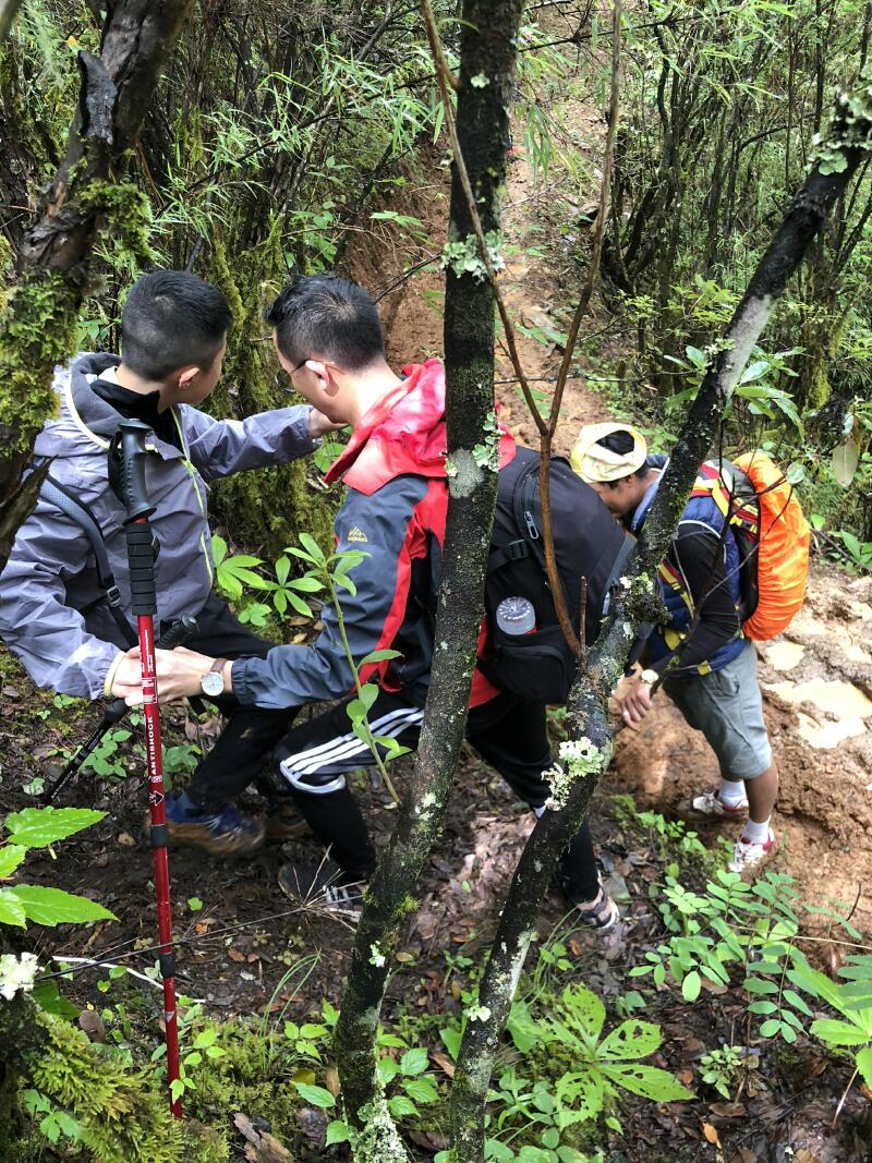 少年说,徒步尼汝夏令营,野蛮其体魄,文明其精神