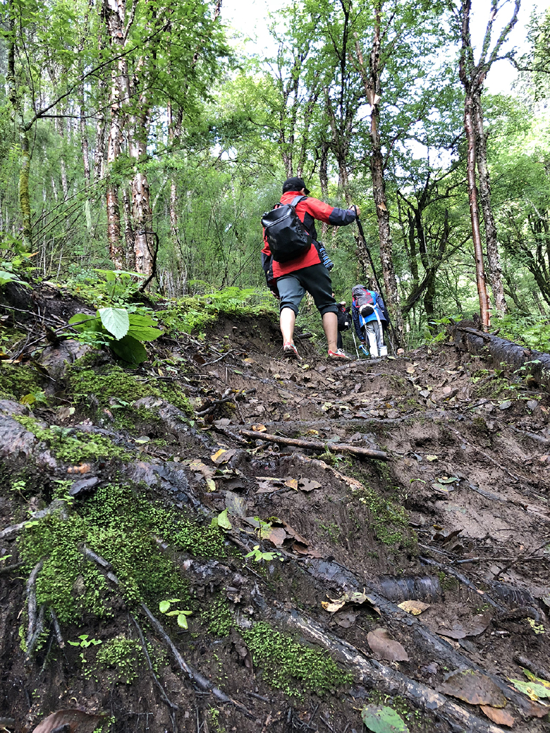 少年说,徒步尼汝夏令营,野蛮其体魄,文明其精神