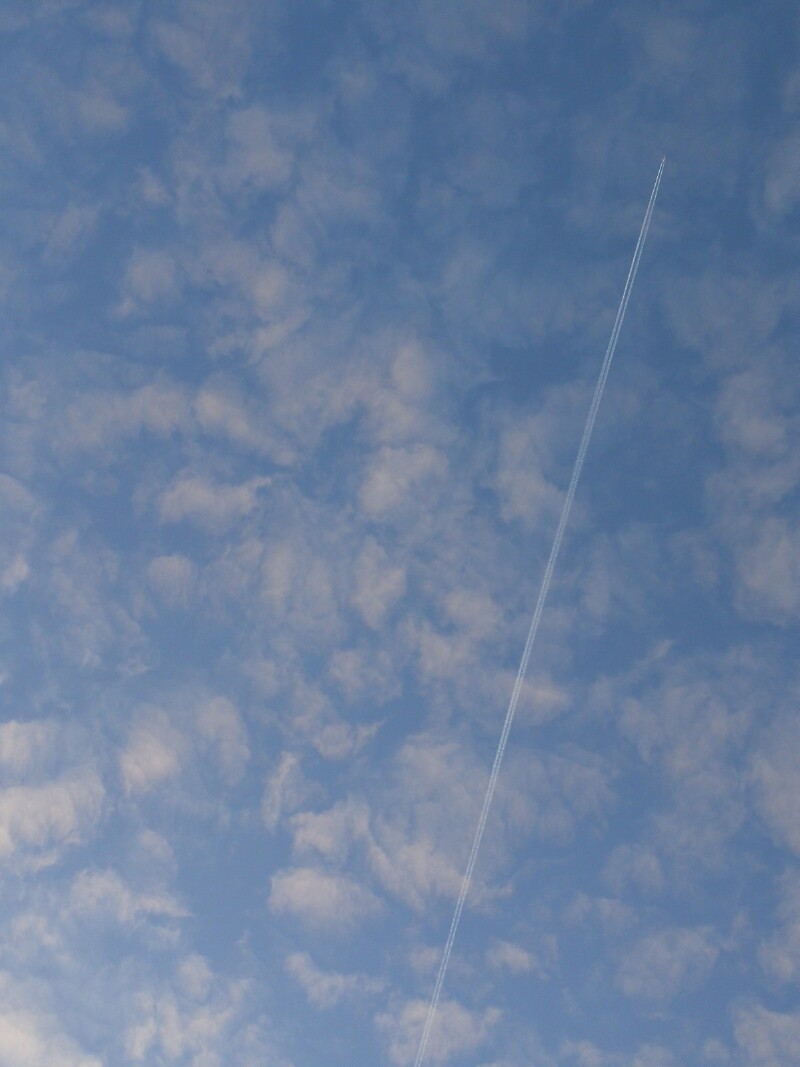 重游维也纳——穿越东欧4000里(14)