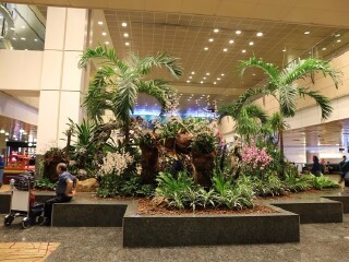 卡夫哈鲁环礁天气预报