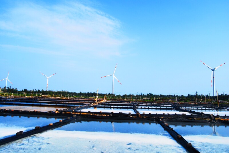 湛江徐闻南极村珊瑚湾