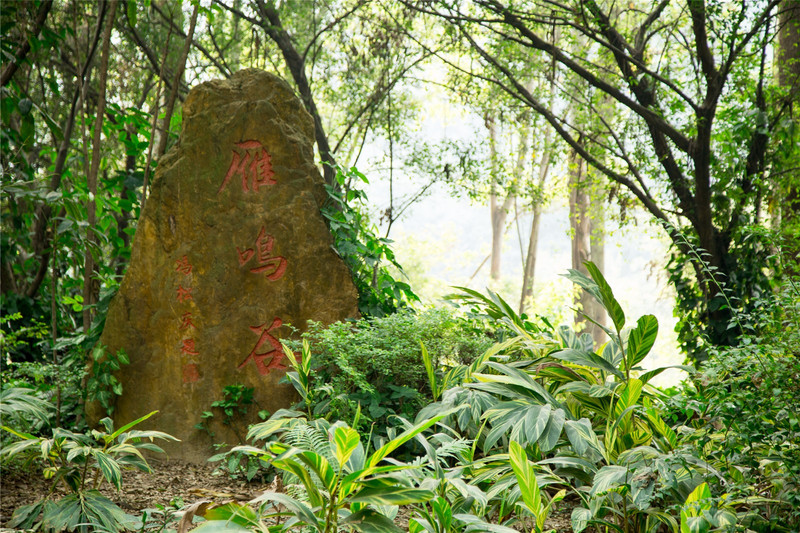 【途牛首發】到過江門鶴山的人都說,鶴山是一個美景美食天堂_鶴山市