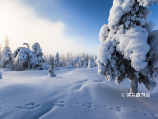 欧纳斯山滑雪中心