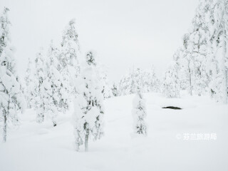 欧纳斯山滑雪中心