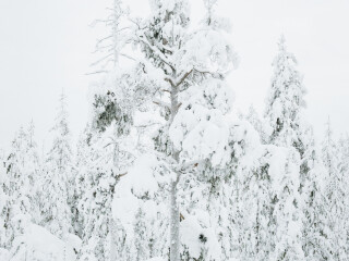 欧纳斯山滑雪中心