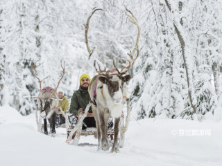 罗瓦涅米驯鹿农场