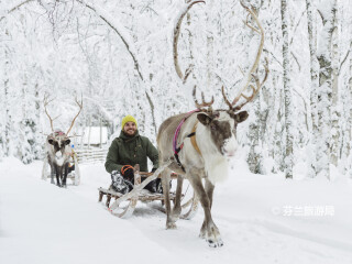 罗瓦涅米驯鹿农场