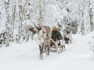 罗瓦涅米驯鹿农场