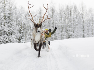 罗瓦涅米驯鹿农场